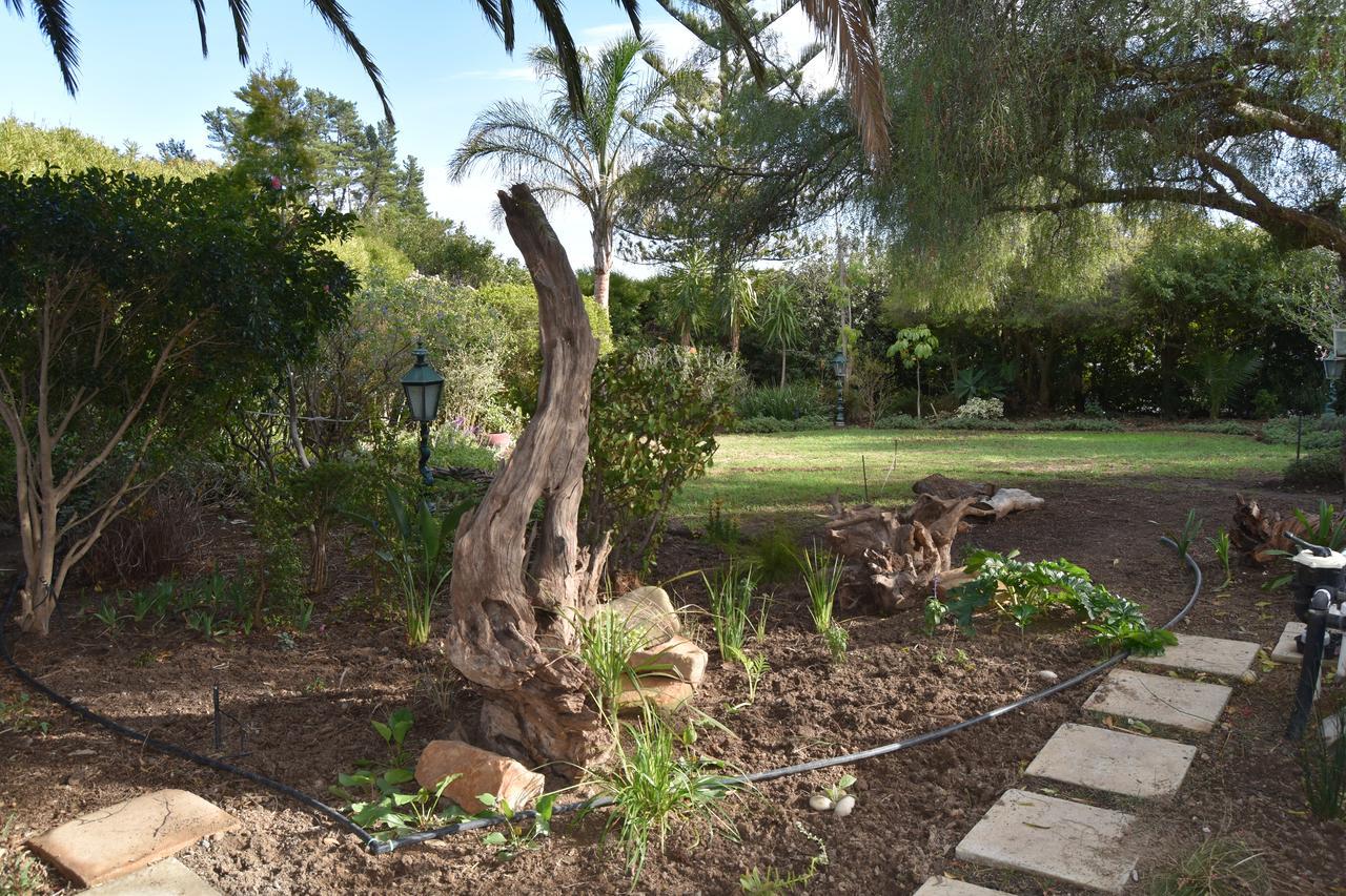 Almond Cottage Bed & Breakfast Somerset West Exterior foto
