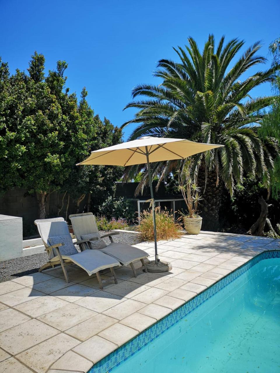 Almond Cottage Bed & Breakfast Somerset West Exterior foto